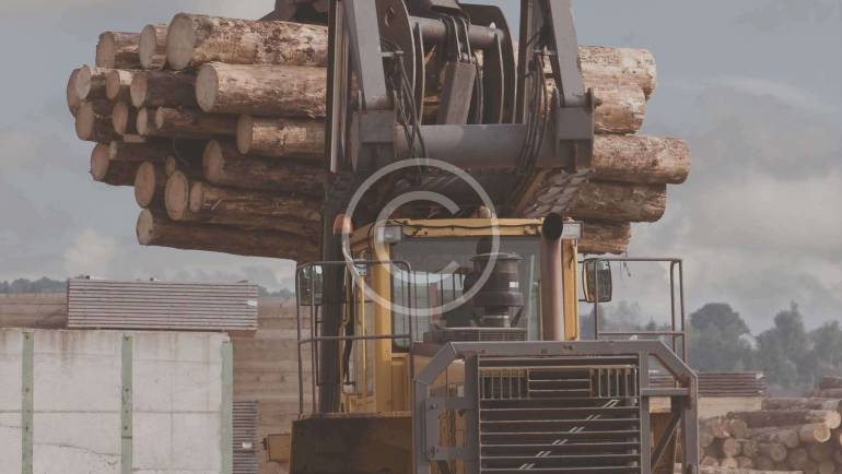 Leading Wood Pellet Factories & Lands
